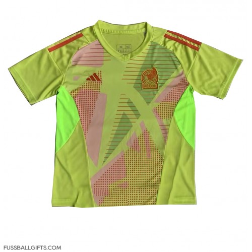 Mexiko Torwart Fußballbekleidung Heimtrikot Copa America 2024 Kurzarm